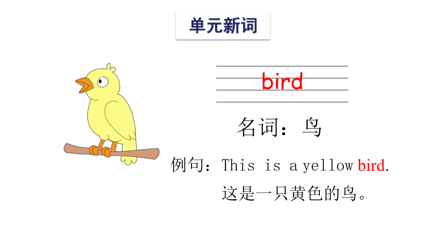 小学 英语 新版-牛津译林版 三年级下册 unit 4 where's the bird?