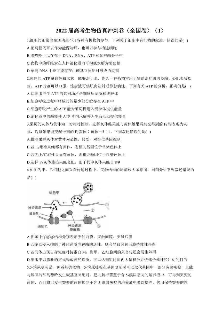 2022届高考生物仿真冲刺卷(全国卷(1(word版含解析-21世纪教育网