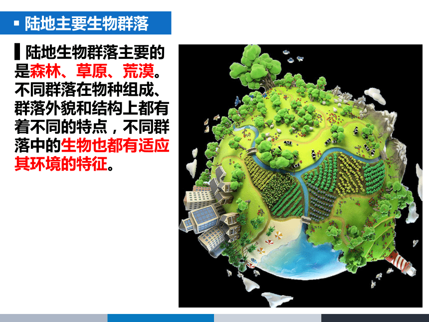 人教版2019高中生物选择性必修二22群落的主要类型课件28张