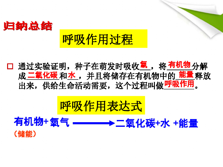 生物绿色植物的呼吸作用课件24张ppt