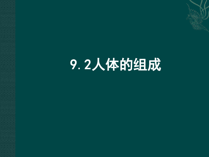 苏科版七年级下册生物92人体的组成课件26张ppt