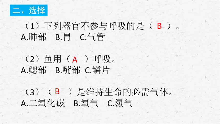 1感受我们的呼吸 课时练习含答案(课件13ppt)
