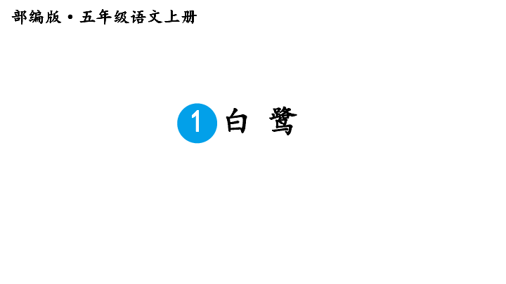 1白鹭课件21张ppt