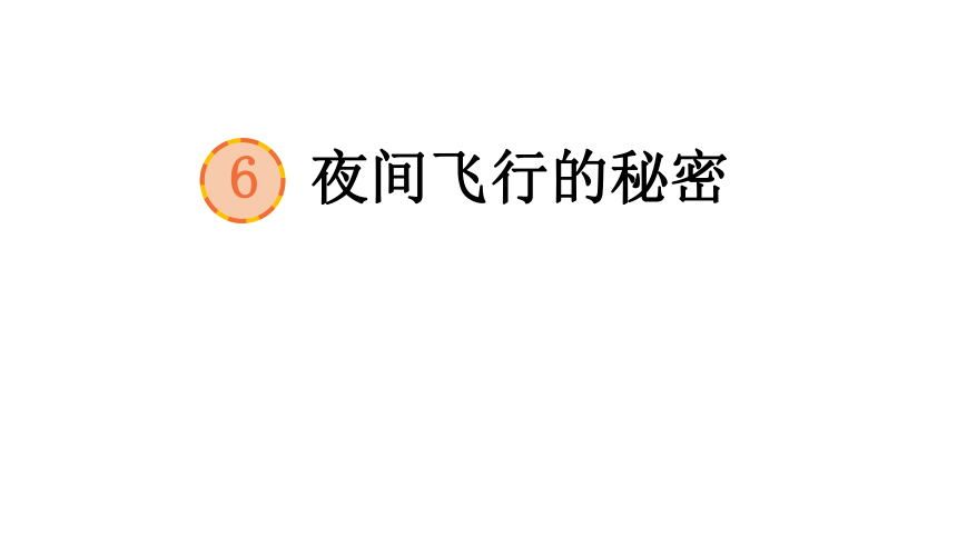 6夜间飞行的秘密课件2课时32张ppt