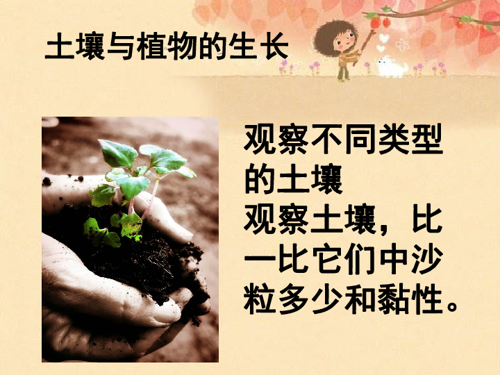 冀教科学五上《2土壤与植物的生长(共13张ppt-21世纪教育网