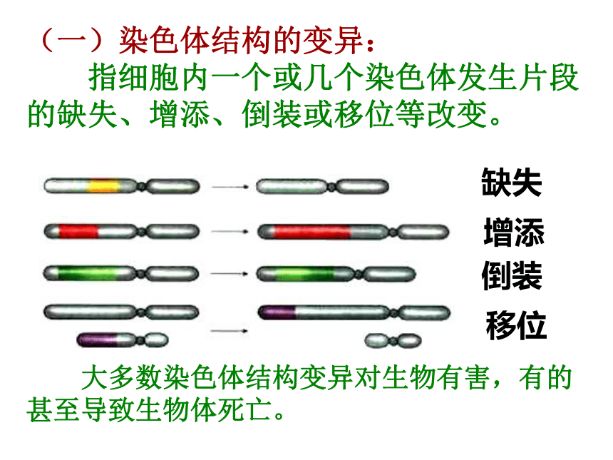 (共27张ppt)染色体变异染色体变异的概念1,染色体变异是光学显微镜下