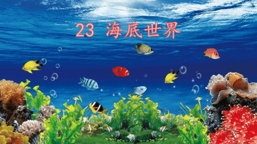 23 海底世界 课件        (共71张ppt)第七单元第23课海底世界部编版
