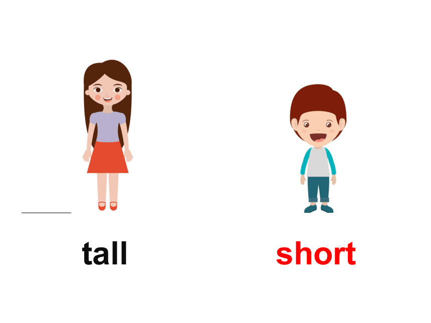 unit 3 lesson 14 are you short or tall 课件(15张ppt)