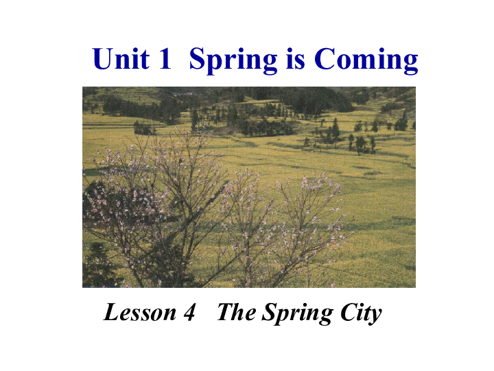 1 spring is coming lesson 4 the spring city精品课件(共28张ppt)