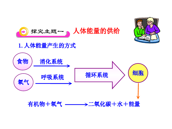 第10章 第五节 人体能量的供给(苏教版七年级下)