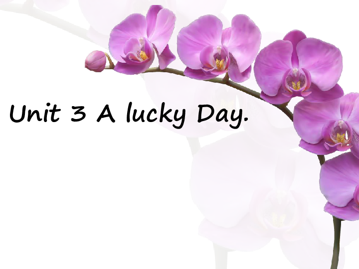 unit 3 a lucky day 课件