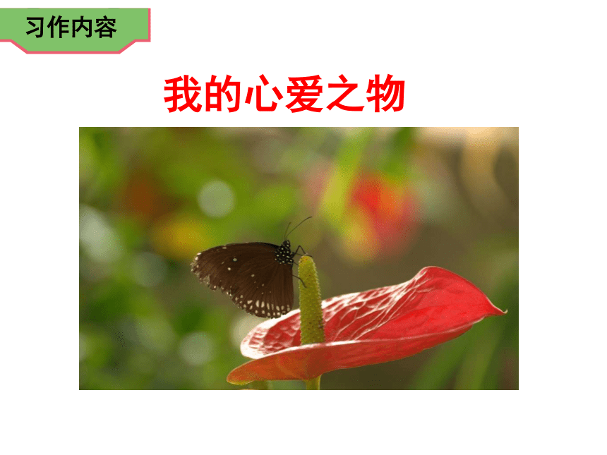 部编版语文五年级上册习作我的心爱之物课件24张ppt