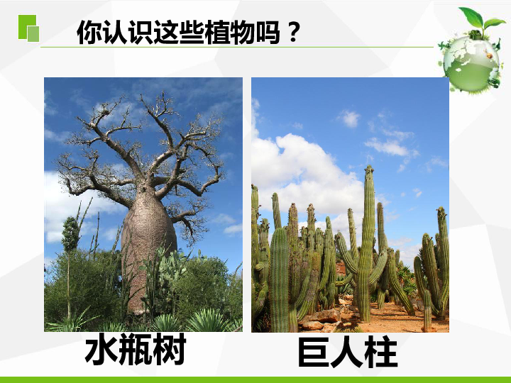 三年级下册科学课件5不同环境里的植物2苏教版共29张ppt