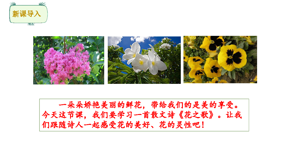 4花之歌课件共31张ppt