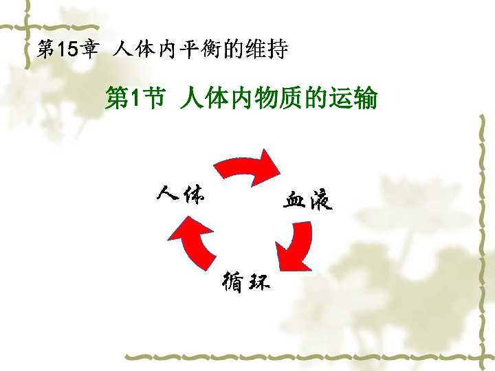 苏科版生物八年级上册6151人体内物质的运输课件31张ppt