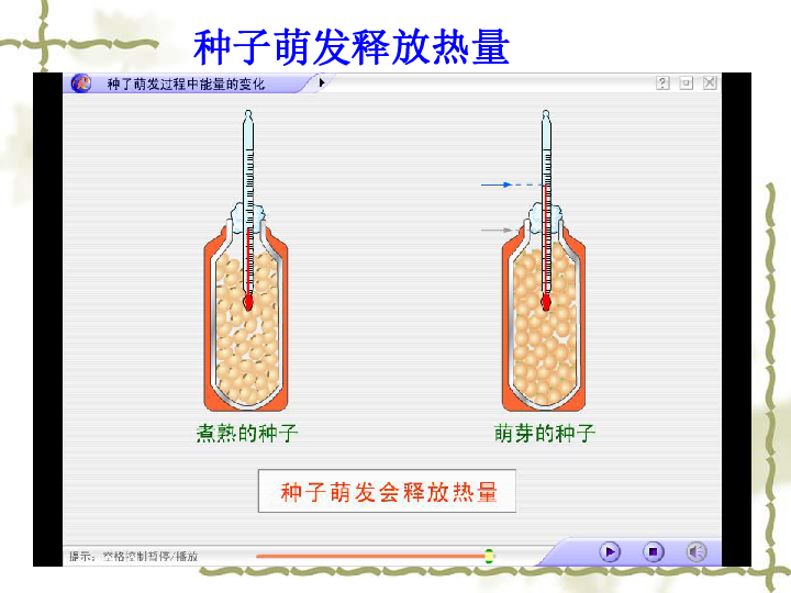 知识回顾光合作用的公式 光二氧化碳 水 有机物