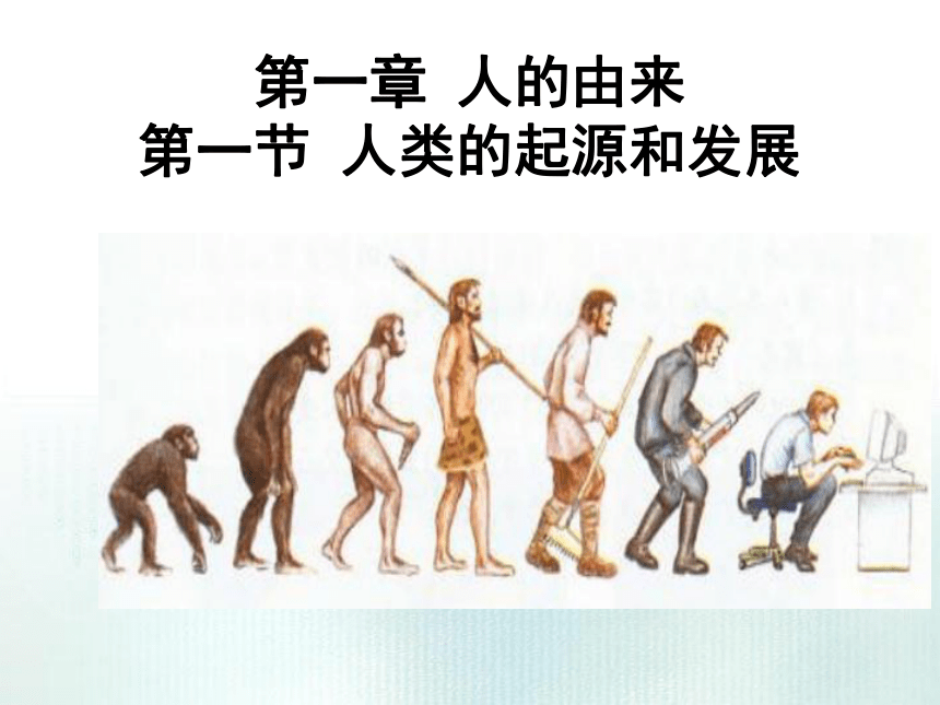 掌握从猿到人的进化过程在进化过程中,人类变得越来越强大的原因有