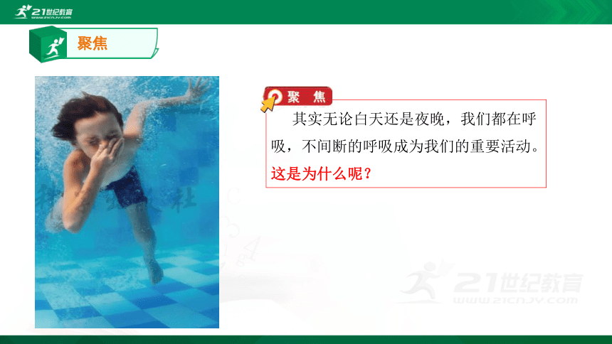 2.1感受我们的呼吸 课件(17张ppt)