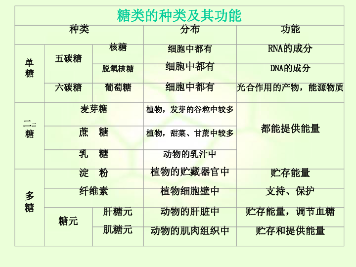 第一节 生命的基础能源-糖类糖类1.元素组成:c,h,o2.分类:3.功能生物