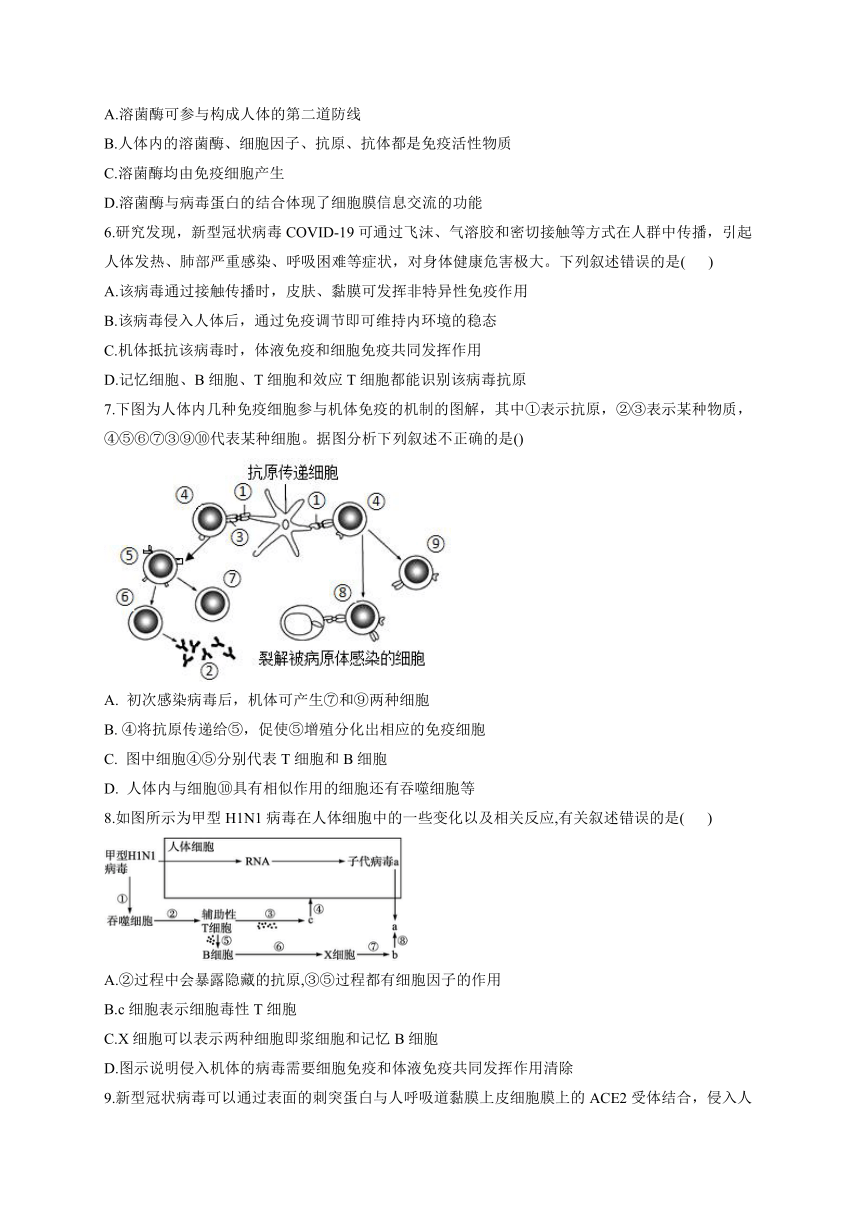 2023届高三生物一轮复习：免疫调节的组成与功能加时练（word含解析）21世纪教育网 二一教育 3531