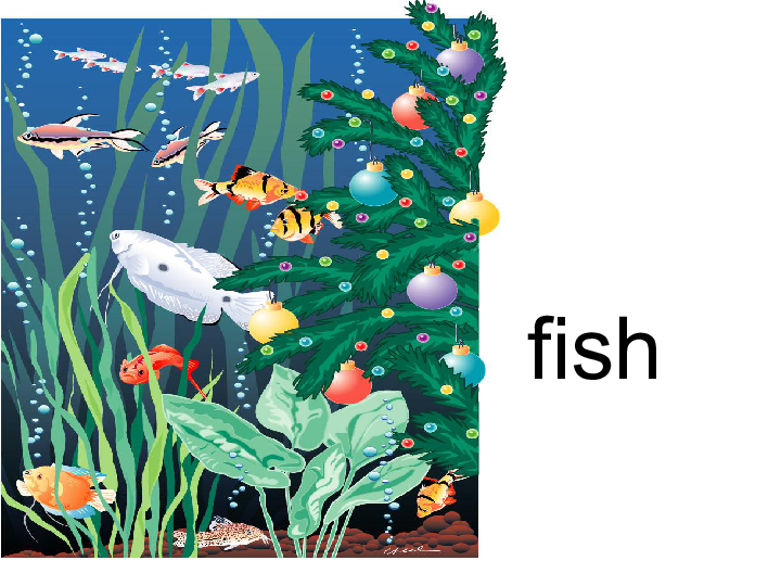 lesson3fishandbirds课件共24张ppt