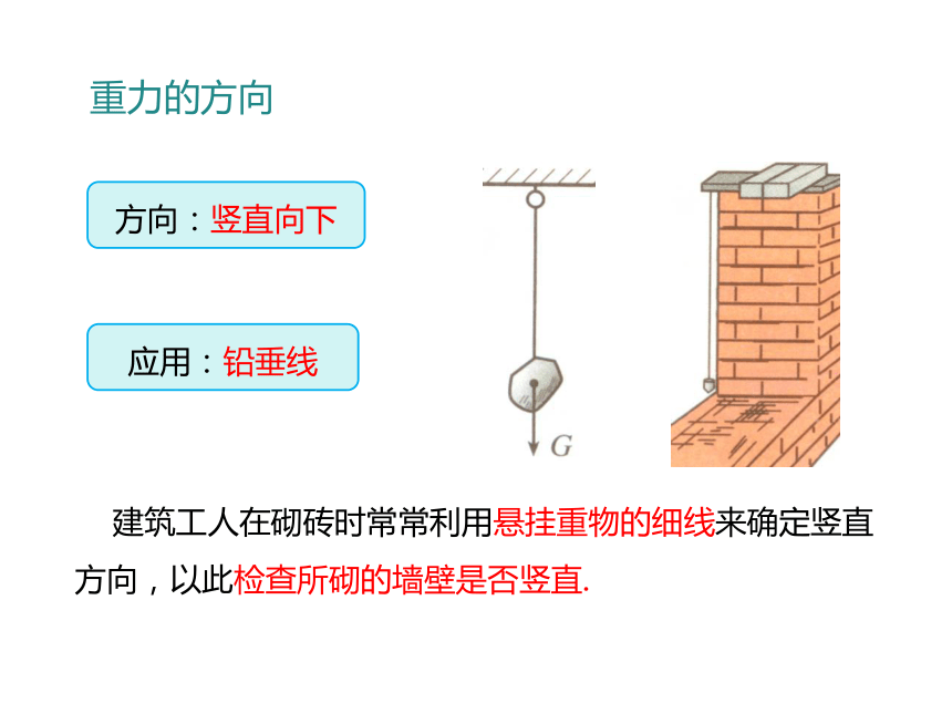 2.知道重力的方向以及重垂线的应用.3.理解重力的大小跟质量的关系.4.