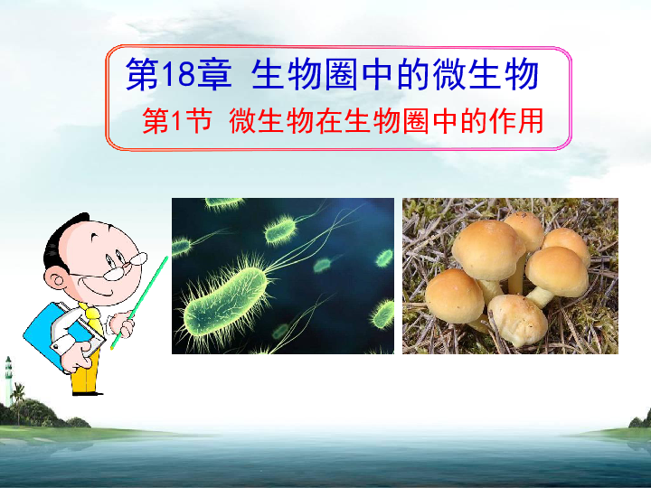 微生物在生物圈中的作用课件共45张ppt