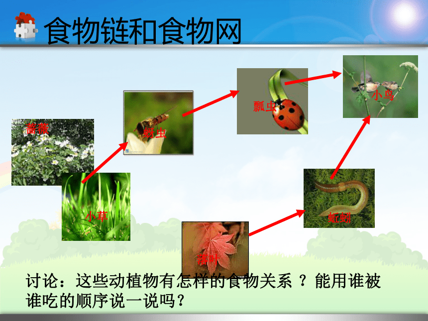 教科版五上科学15食物链和食物网课件7张ppt