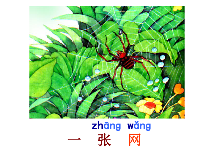 沪教版一年级语文下册蜘蛛织网3ppt课件