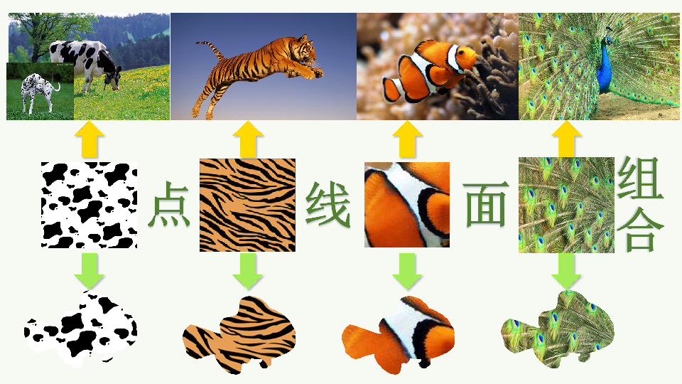 一年级下册美术课件11动物的花衣裳岭南版共26张ppt