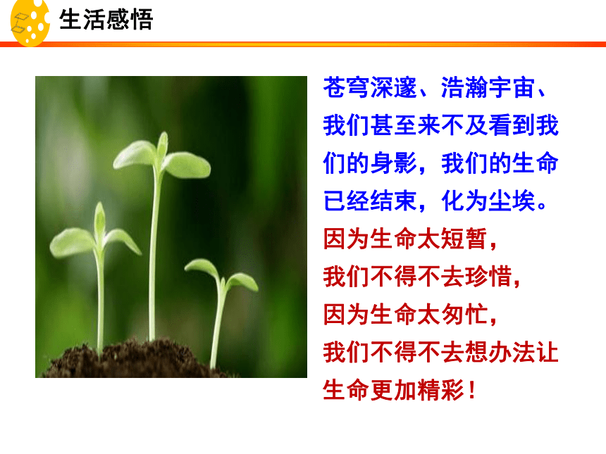 10.2 活出生命的精彩 课件(共24张ppt)(wps打开)