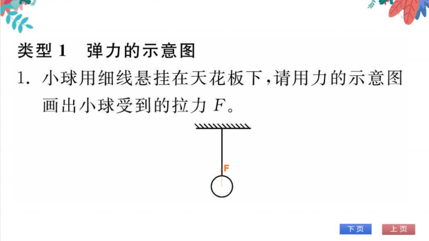 人教版物理八年级下册第7章专题一力的示意图弹力重力习题课件