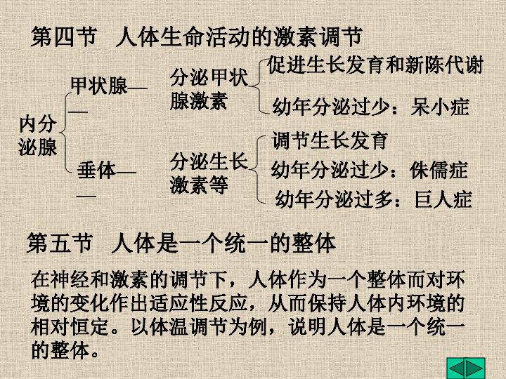 第六章生命活动的调节下学期