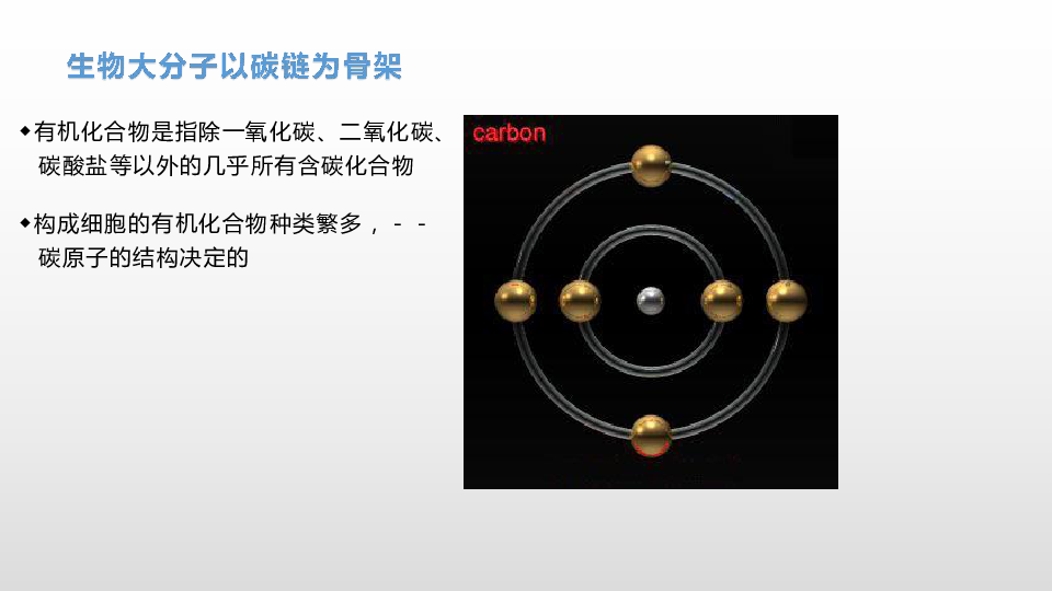 新浙科版高中生物新授课第一章第二节 生物大分子以碳链为骨架 (114张