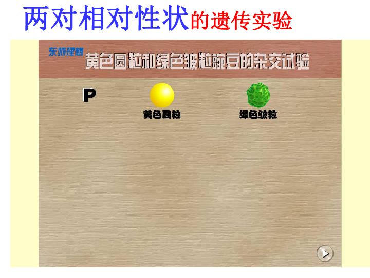 自由组合定律第二节两对相对性状的遗传实验两对相对性状的遗传实验f2