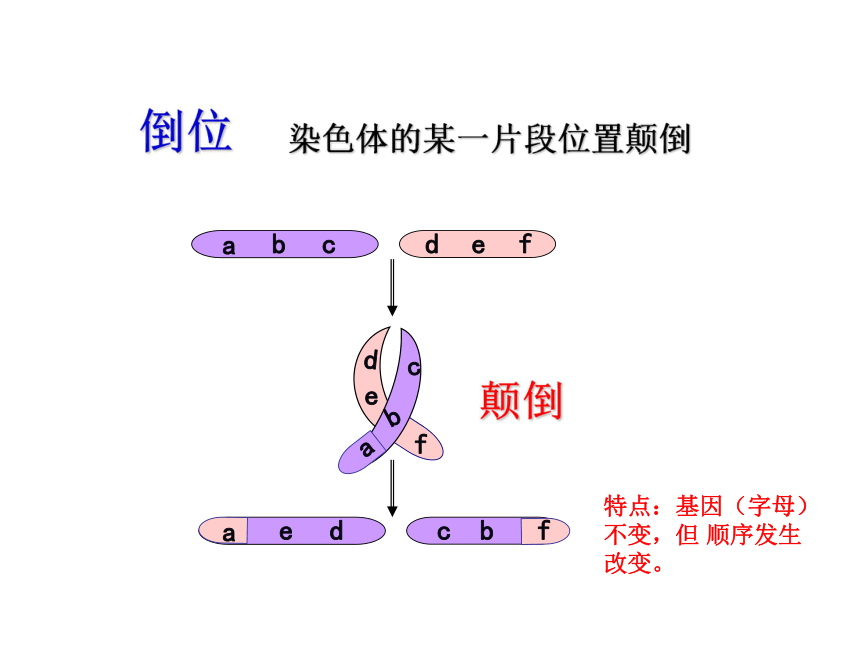 染色体数目变异倒位易位重复缺失染色体结构变异生长发育,遗传和变异