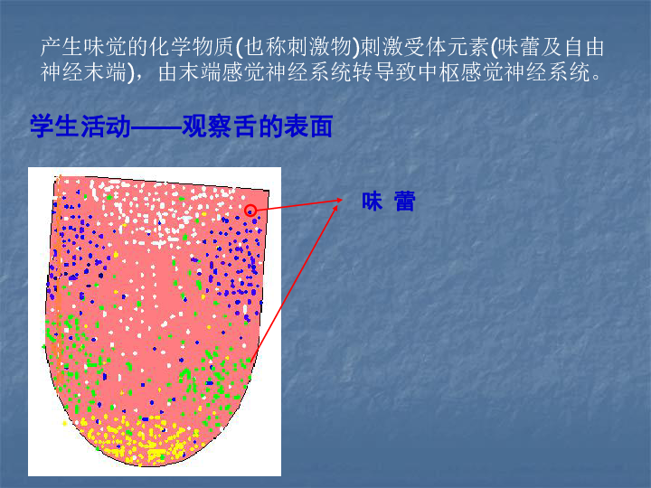 嗅觉,味觉