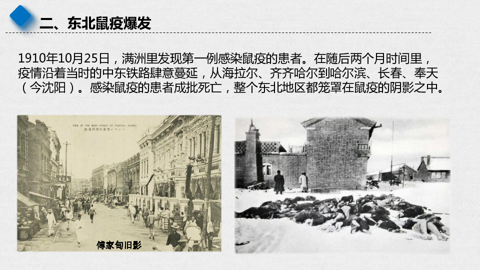 2020年高考热点专题1910年东北鼠疫课件