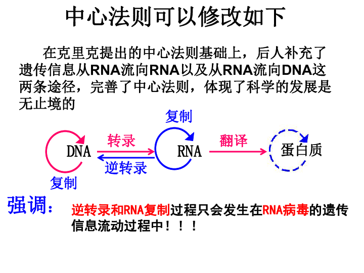 克里克中心法则内容遗传信息的传递规律(流动方向)中心法则图解dna