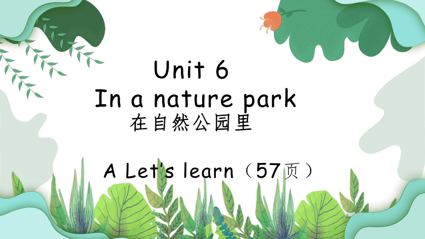 Unit 6 In A Nature Park PA Let’s Learn课件（共24张PPT）_21世纪教育网-二一教育