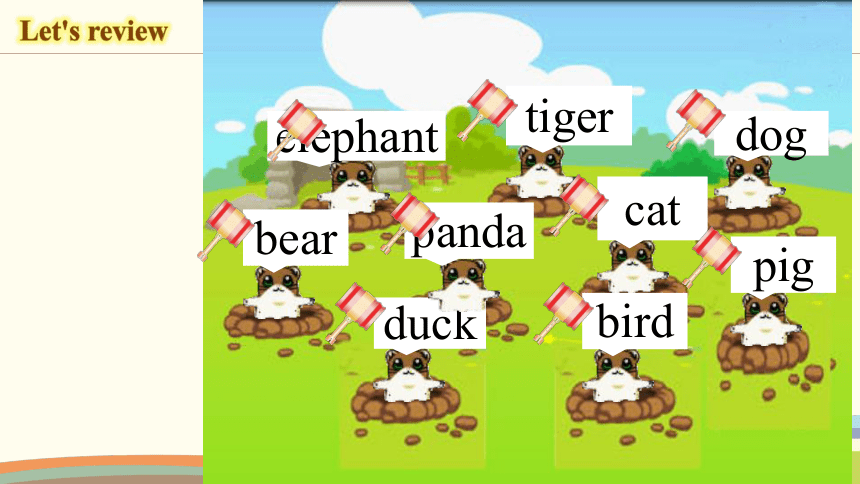 Unit 4 We Love Animals B Let's Talk 课件(共20张PPT)_21世纪教育网-二一教育