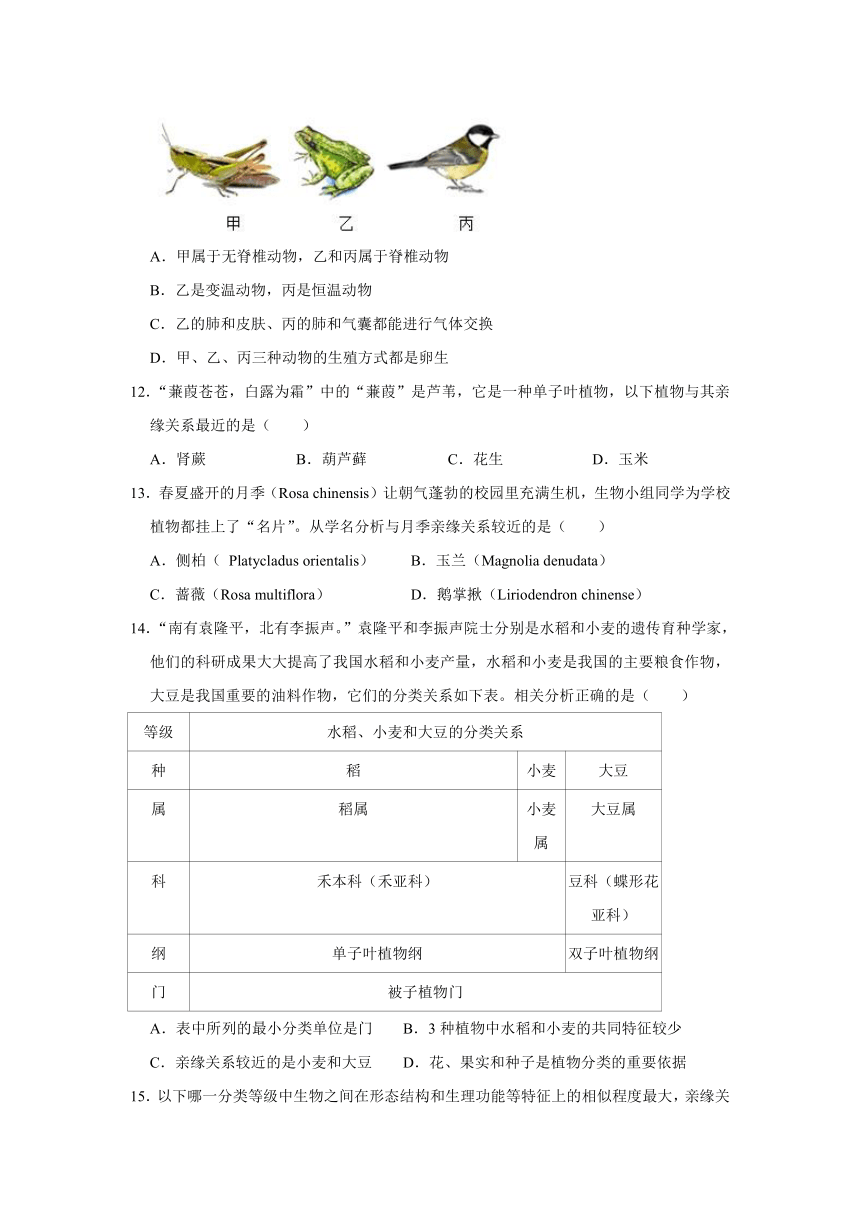 第6单元第1章 根据生物的特征进行分类 单元试卷（含解析）人教版八年级上册生物21世纪教育网 二一教育 8164