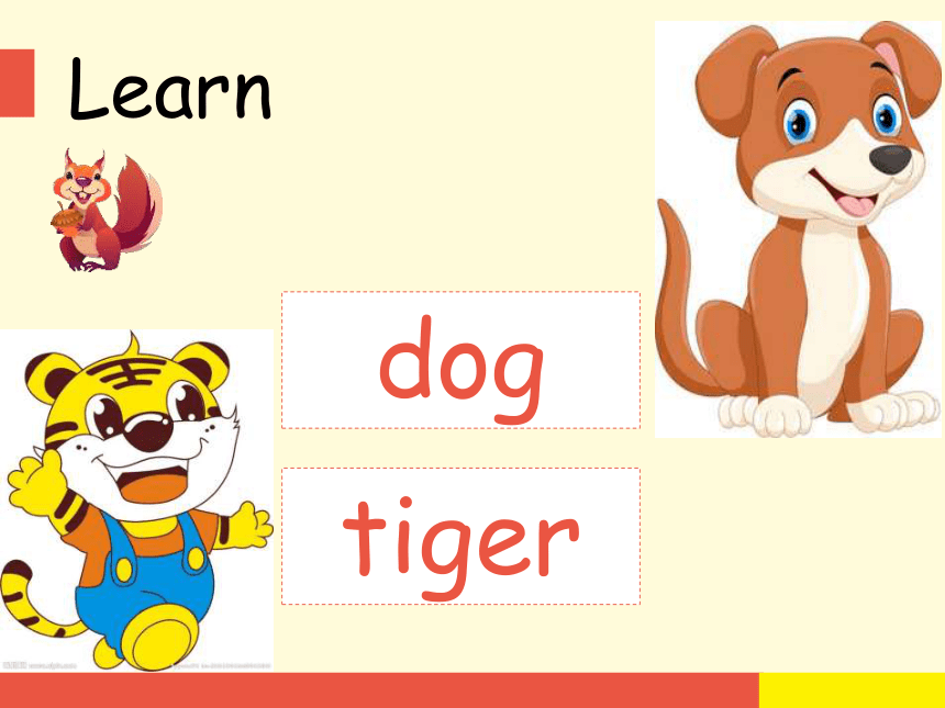 Unit 3 Animals Lesson 1课件(共11张PPT)_21世纪教育网-二一教育