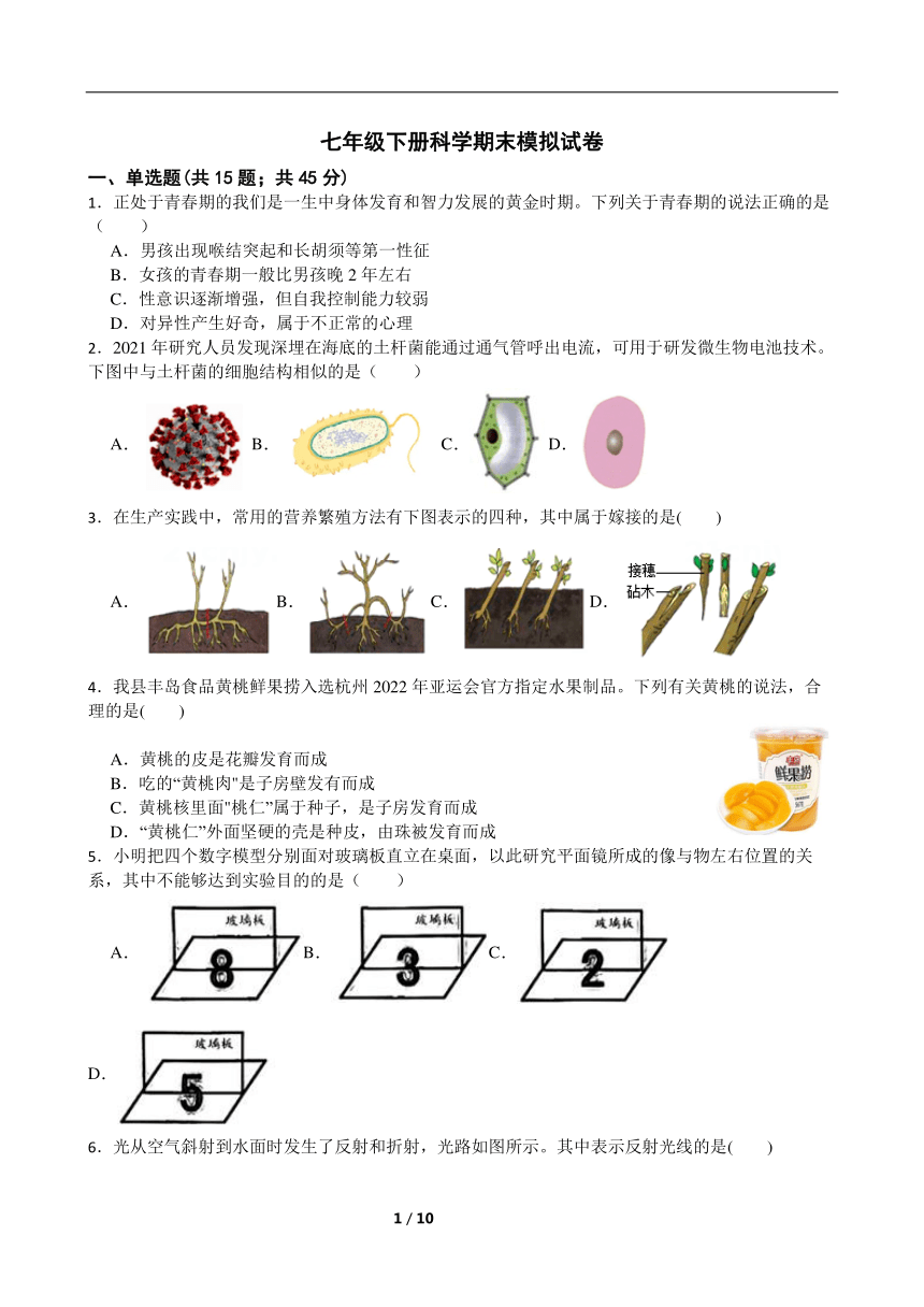 浙教版科学七年级下册科学期末模拟试卷含答案 21世纪教育网