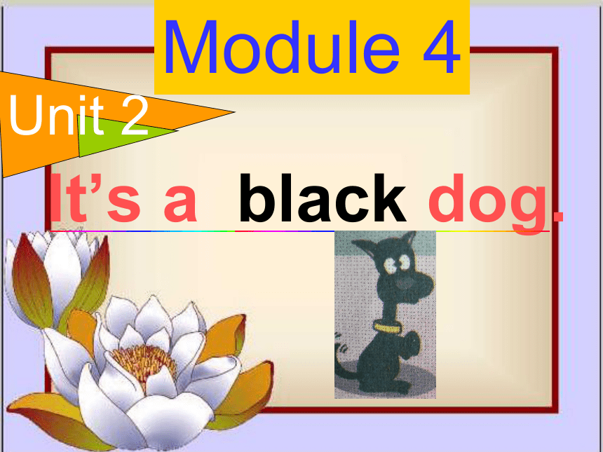 Module 4 Unit 2 It's A Black Dog. 课件(共27张PPT)_21世纪教育网-二一教育