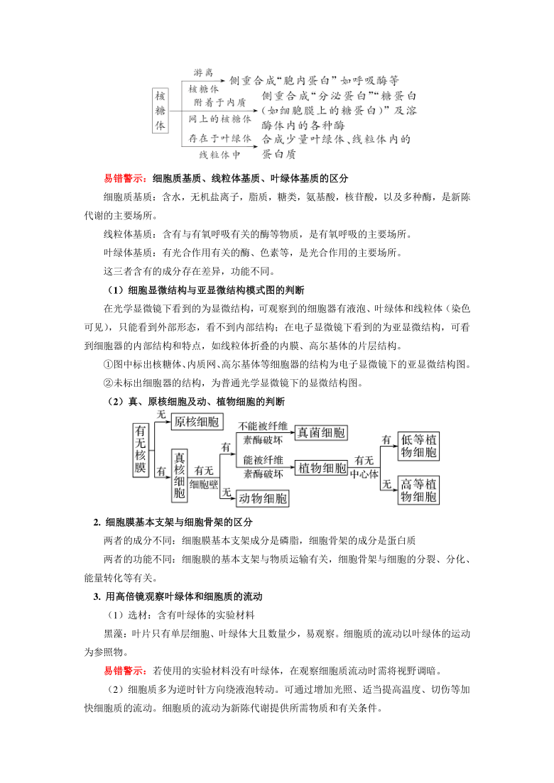 2020-2021学年高一上学期生物人教版(2019)必修一第3章 细胞的结构 第