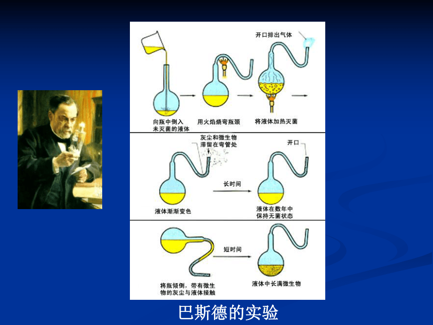 北师大版生物八年级下册7211生命的起源课件19张ppt