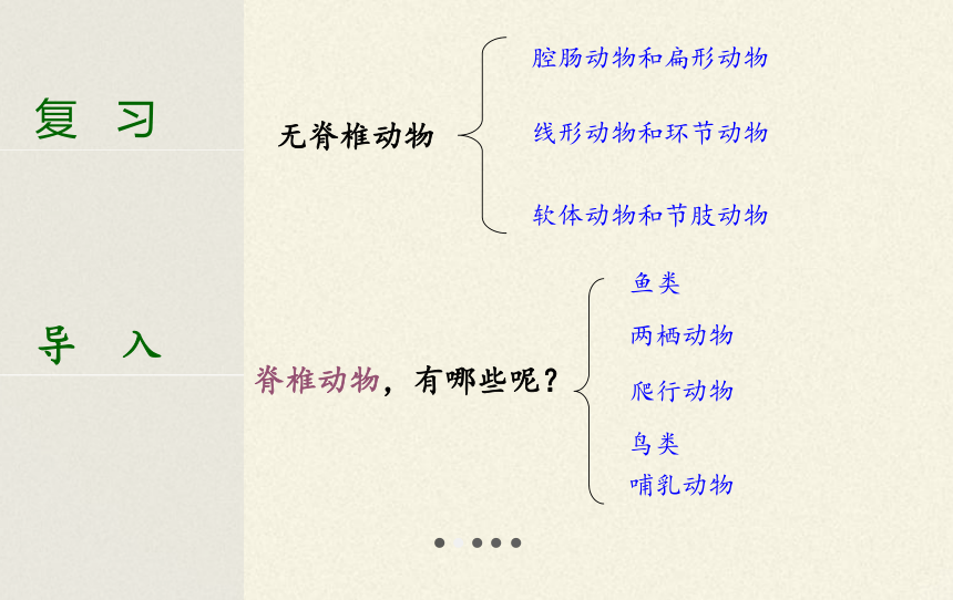 人教版八年级上册生物51动物的主要类群二复习课件51张ppt