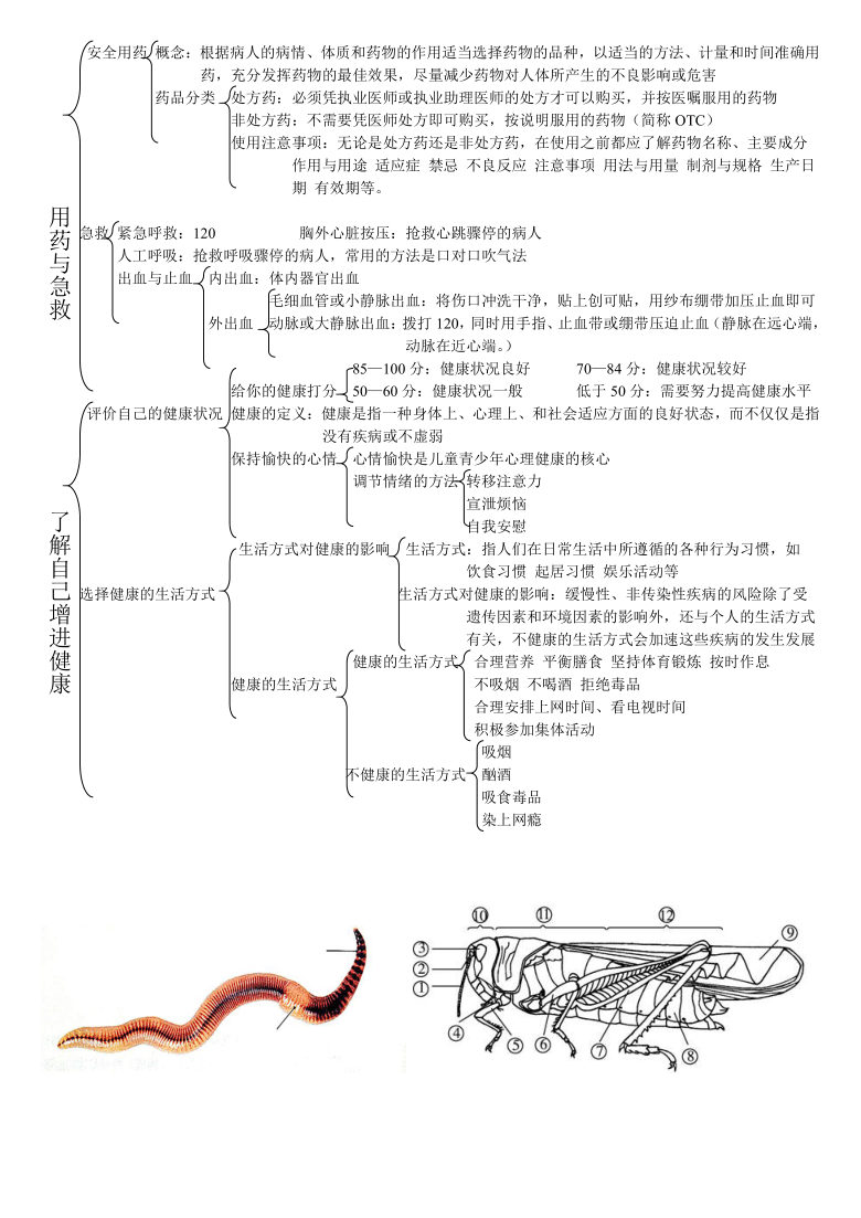 八年级生物知识思维导图整理