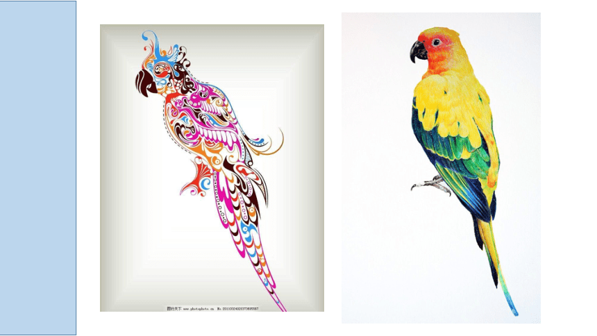 苏少版四年级美术下册 第8课 鸟的纹样 课件(共22张ppt)